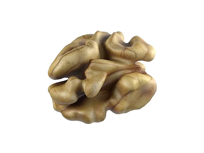 Natural Organic Fresh Whole Walnut Kernel With Light Brown Textured Surface 3d model
