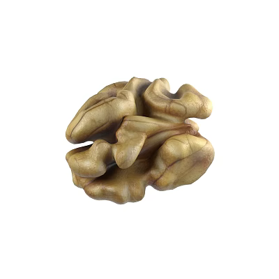 Natural Organic Fresh Whole Walnut Kernel With Light Brown Textured Surface 3d model