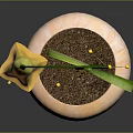 Plant With Green Spiral Stem And Yellow Bell Shaped Flower In Pink Pot With Soil