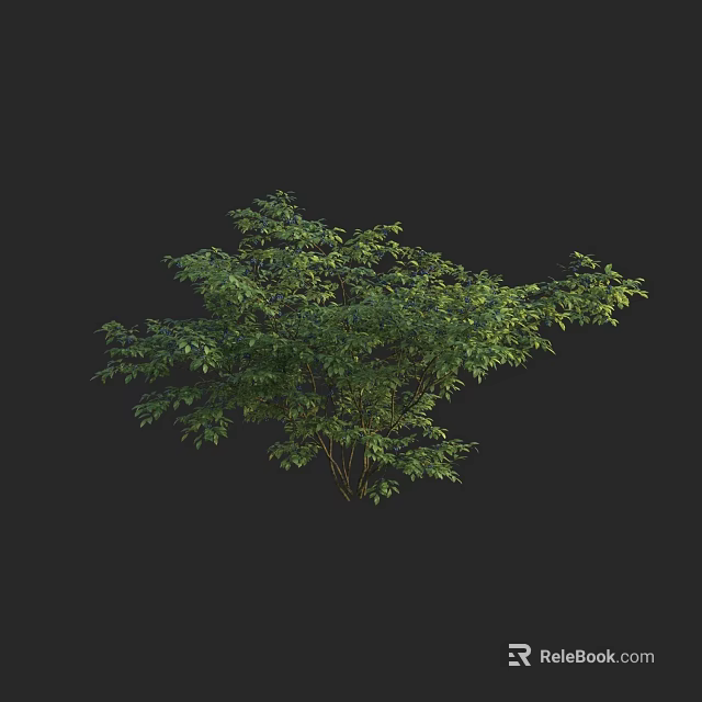 Lush Arbor With Dense Green Foliage And Full Branch Structure 3d model