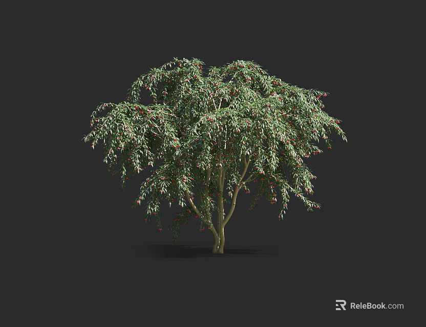 Arbor With Lush Green Foliage And Drooping Branches Isolated On Black Background 3d model 