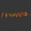 Vibrant Red and Yellow Autumn Leaves with Green Veins on Black Background