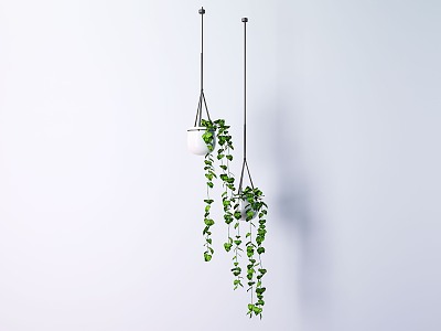 Modern hanging basket plant flower hanging basket model