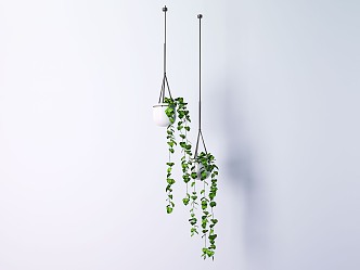 Modern hanging basket plant flower hanging basket 3d model