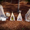 Scenic Camping Campsite with Various Tents String Lights Lush Trees and Red Rock Backdrop