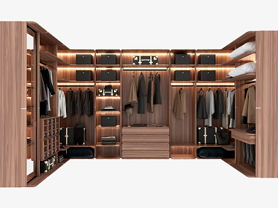 Modern Wardrobe Interior Design With Wooden Storage Lighting Hanging Sections Drawers And Bags Shoes 3d model