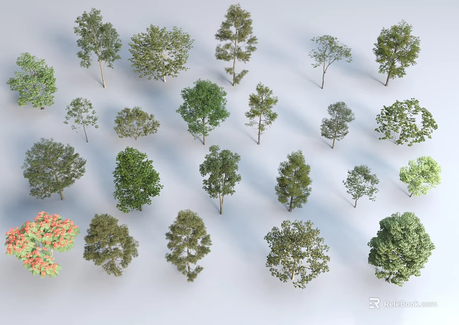 Various Arbor Tree Types Displaying Diverse Foliage Shapes And Natural Growth Forms 3d model 