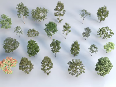 Various Arbor Tree Types Displaying Diverse Foliage Shapes And Natural Growth Forms 3d model