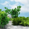 Lush Green Flowers and Plants Surrounding Large Natural Stone in Outdoor Setting