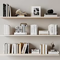 Books and Magazines Neatly Arranged on Wooden Bookshelves with Decorative Lamp Sculpture and Open Book