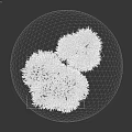 Natural Aquatic Plants Featuring Coral Like Branching Structures In Brown Tones