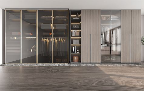 Modern wardrobe 3d model