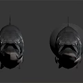 Two Shiny Dark Fish On White Background With Fish Shaped Object