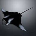 Black and White Manta Ray With Elegant Body Shape And Long Tail