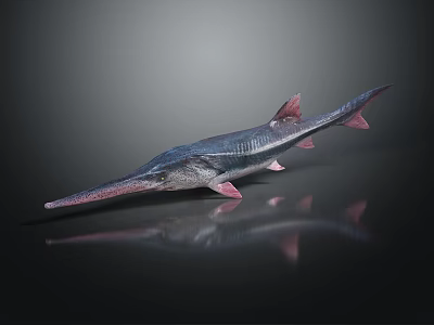 3D Rendered Long Snout Aquatic Animal With Slender Body And Pink Fins On Dark Background 3d model