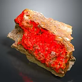 Natural Wood Stone Specimen With Vibrant Red Brown Color And Rough Texture