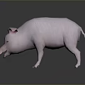 Detailed 3D Model Pink Pig Standing On Smooth Surface With Gray Background