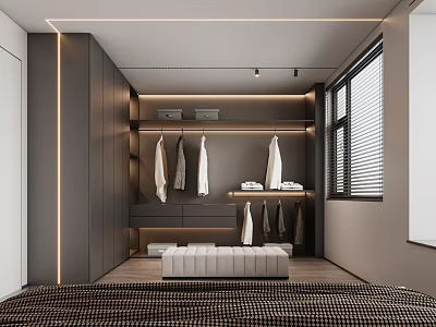 Modern Walk in Closet Interior Design With Hanging Area And Storage Cabinets 3d model