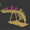 Stegosaurus Dinosaur Skeleton Model With Back Plates And Detailed Structure 3d model