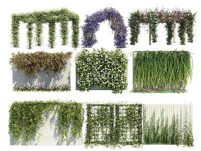 Vines As Decorative Elements In Various Garden And Outdoor Layouts 3d model