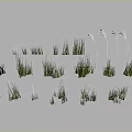 Green Grass And White Flowers In Various Forms On White Background 3d model