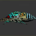 Colorful Cicada Featuring Vibrant Blue Green Red Colors and Transparent Wings with Black Patterns