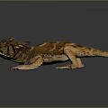 Detailed Brown And Orange Spotted Lizard With Horned Head On Dark Background