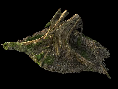 Rustic Outdoor Wooden Stump With Dead Wood Moss Stones And Soil 3d model