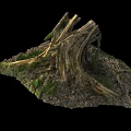 Rustic Outdoor Wooden Stump With Dead Wood Moss Stones And Soil