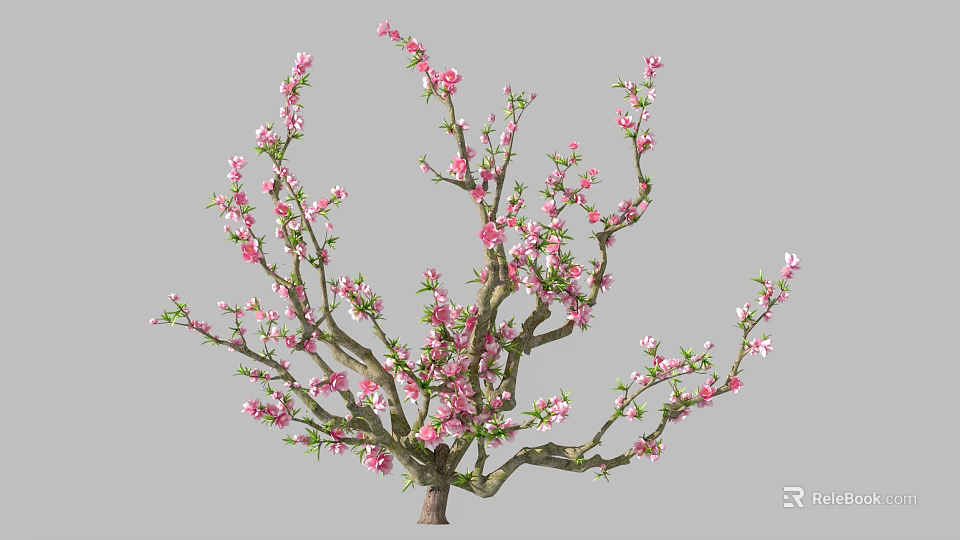 Blooming Tree with Pink Blossoms and Lush Branches in Full Bloom 3d model 