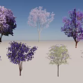 Colorful Arbor Varieties with Purple Pink Green Flowers and Foliage under Blue Sky