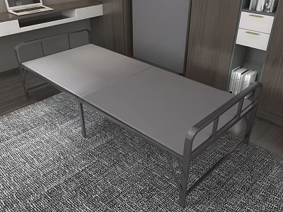 Modern Metal Frame Bed With Gray Mattress On Patterned Rug Near Bookshelf And Desk 3d model
