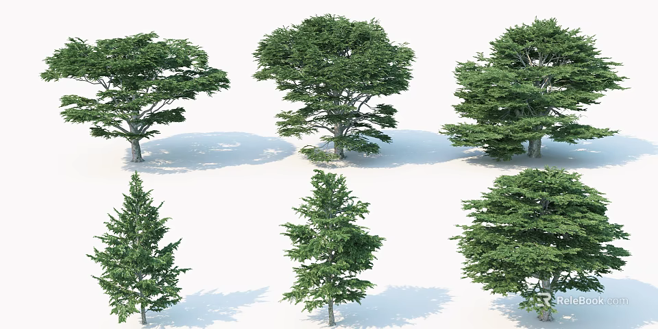 Various Green Arbor Tree Species Displayed with Natural Shadows on White Background 3d model