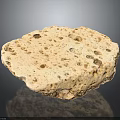 Natural Wood Stone Porous Light Colored Material with Unique Surface Texture 3d model