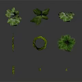 Various Green Plants Collection Including Vines Shrubs And Palm Trees Arranged On White Background
