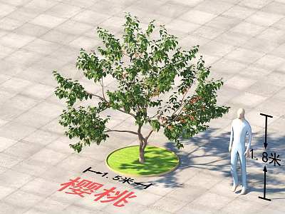 Cherry Arbor With 2.8 Meters Height On Square Pavement And Circular Green Area 3d model