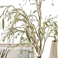 Stylish Wooden Geometric Vases with Dried Flowers and Small Cactus for Home Decor