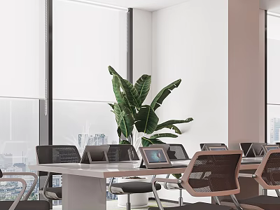 Modern Conference Room Interior Design Featuring Conference Table Chairs Green Plant And Windows 3d model