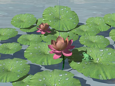 Pink Lotus Flowers With Green Lily Pads And Water Droplets On Water Surface 3d model