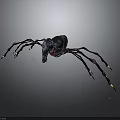 Mysterious Spider Creature Featuring Black Purple Body And Long Legs With Yellow Tips