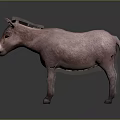Realistic Pink Donkey With Smooth Fur Standing On Gray Background 3d model