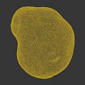 Single Fresh Potato With Brown Spots And Natural Rough Skin Texture Details