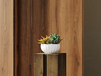 Elegant Succulent Plants In White Pot On Wooden Stand With Wooden Background 3d model