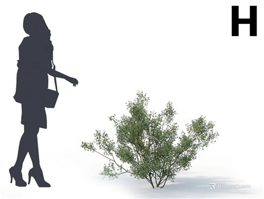 Small Green Tree with Pedestrian Silhouette and Letter H in Scene 3d model 