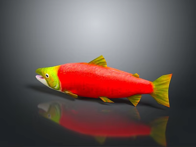Catfish Carp Sturgeon Bass Freshwater Fish Various Carp Grass Carp Crucian Carp 3d model