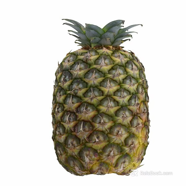 Fresh Tropical Pineapple Fruit With Green Leaves And Textured Yellow Skin 3d model 