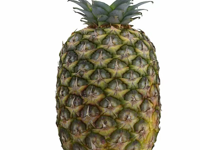 Fresh Tropical Pineapple Fruit With Green Leaves And Textured Yellow Skin 3d model