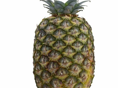 Pineapple pineapple fruit 3d model