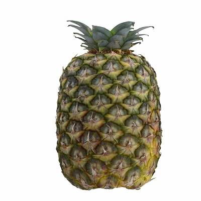 Fresh Tropical Pineapple Fruit With Green Leaves And Textured Yellow Skin 3d model