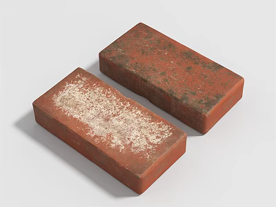 Two Red Bricks With White Powdery And Dark Mossy Surface Textures 3d model